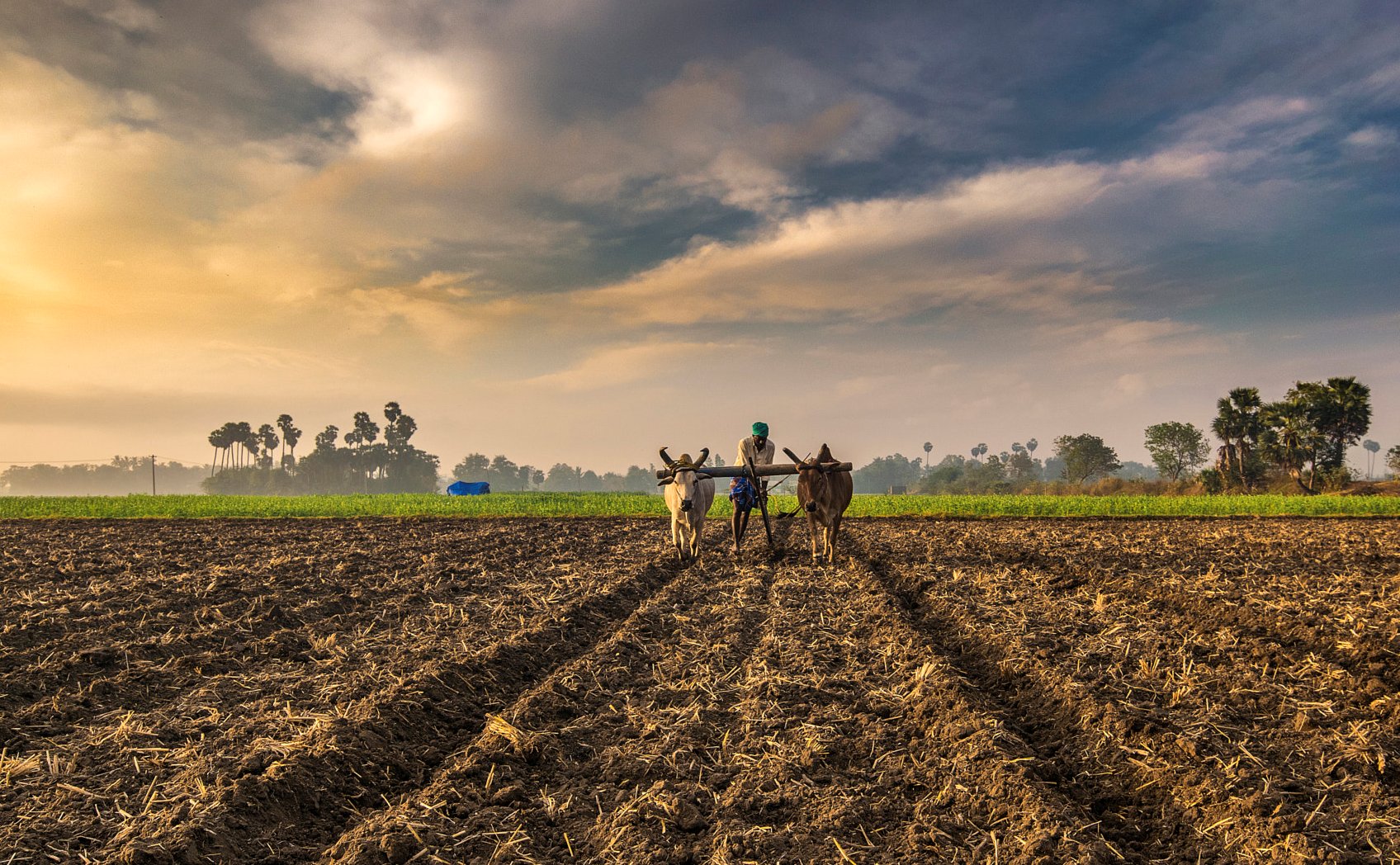 Farm Background